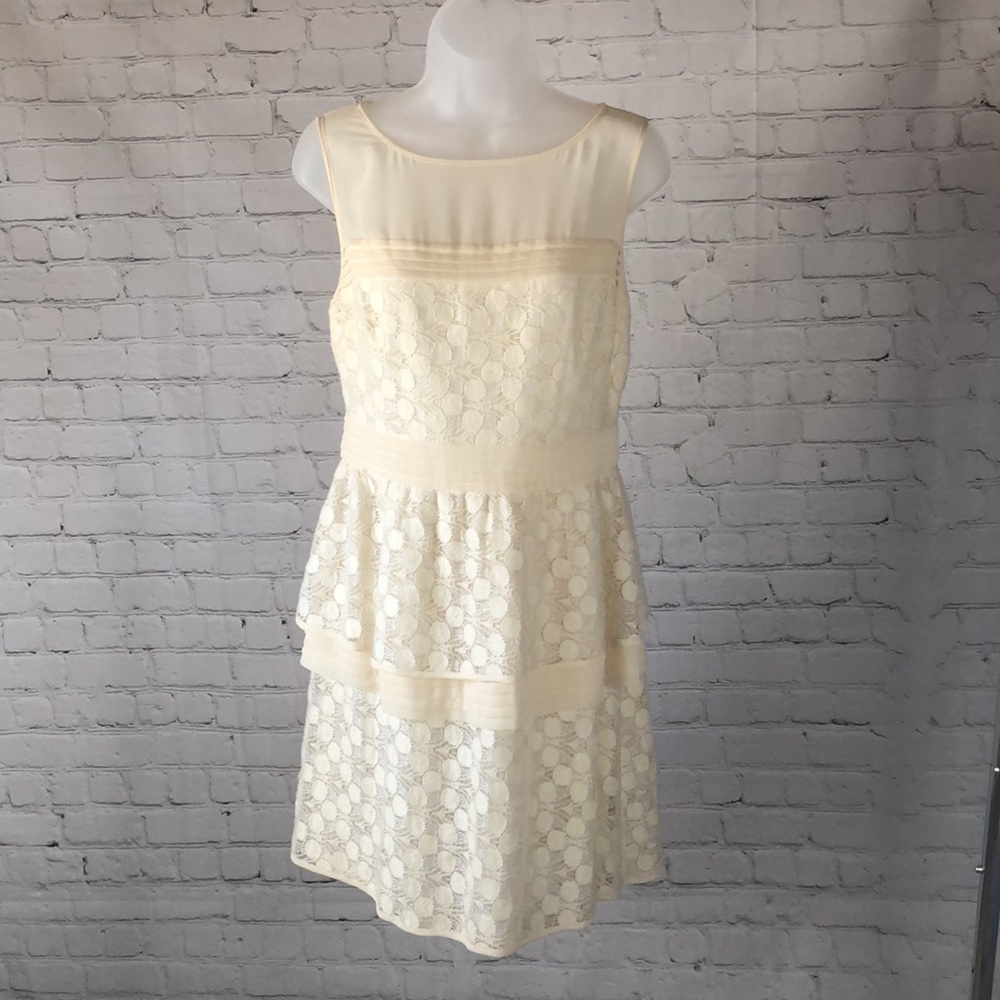 DRESS - Adrianna Pappell ivory, mesh, illusion neck, lace dress. Size 10.